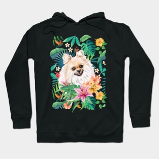 Tropical Pomeranian 3 Hoodie